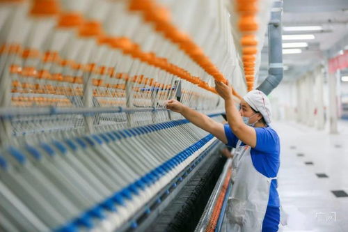 新疆呼图壁 纺织企业赶制订单生产忙